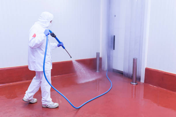 Best House Exterior Washing  in Castalia, OH